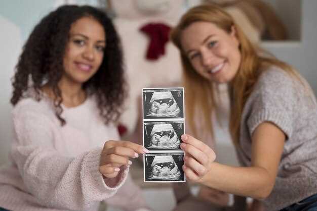 Структура эмбриона на пятый день развития