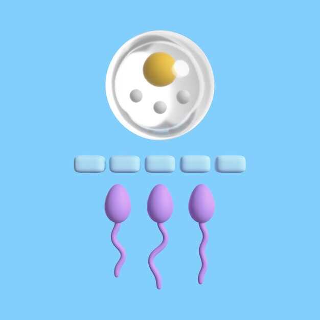 Развитие эмбриона на пятый день после оплодотворения