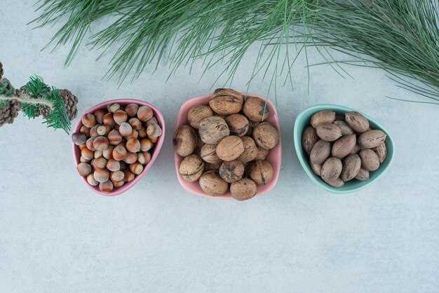Кедровые орешки: преимущества и уровень потребления